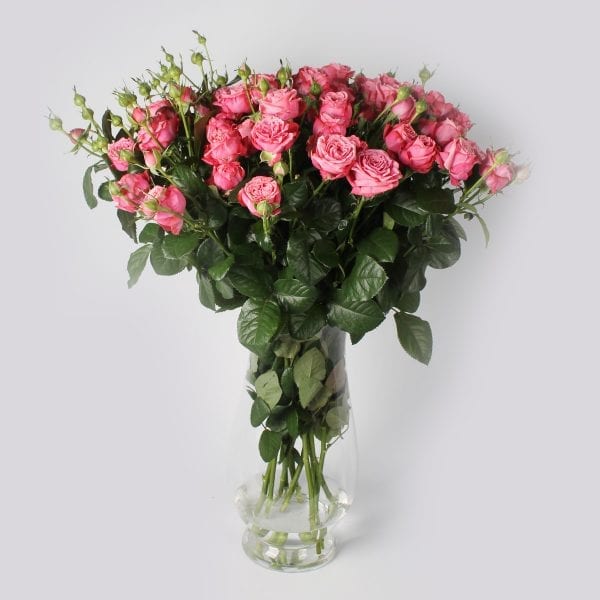 Boeket Artesia: een trosroos die echt een unieke roos is. De relatief grote bloem heeft een zeer uitsprekende roze kleur met donkere randen.