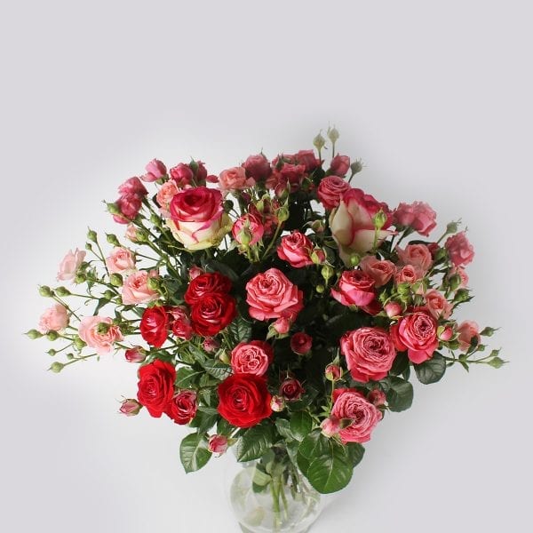 Mixboeket van al onze mooiste rozen samen. Eelke trosroos zijn eigen kracht. De zachte tonen van Femke, de pracht van Dance de Meilland en de artistieke tonen van Artesia. Een boeket om van te dromen!
